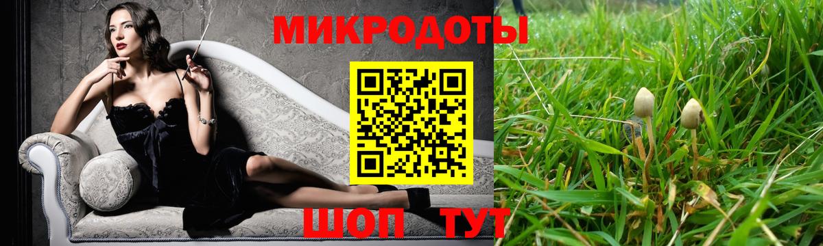 Галлюциногенные грибы Psilocybe Жигулёвск